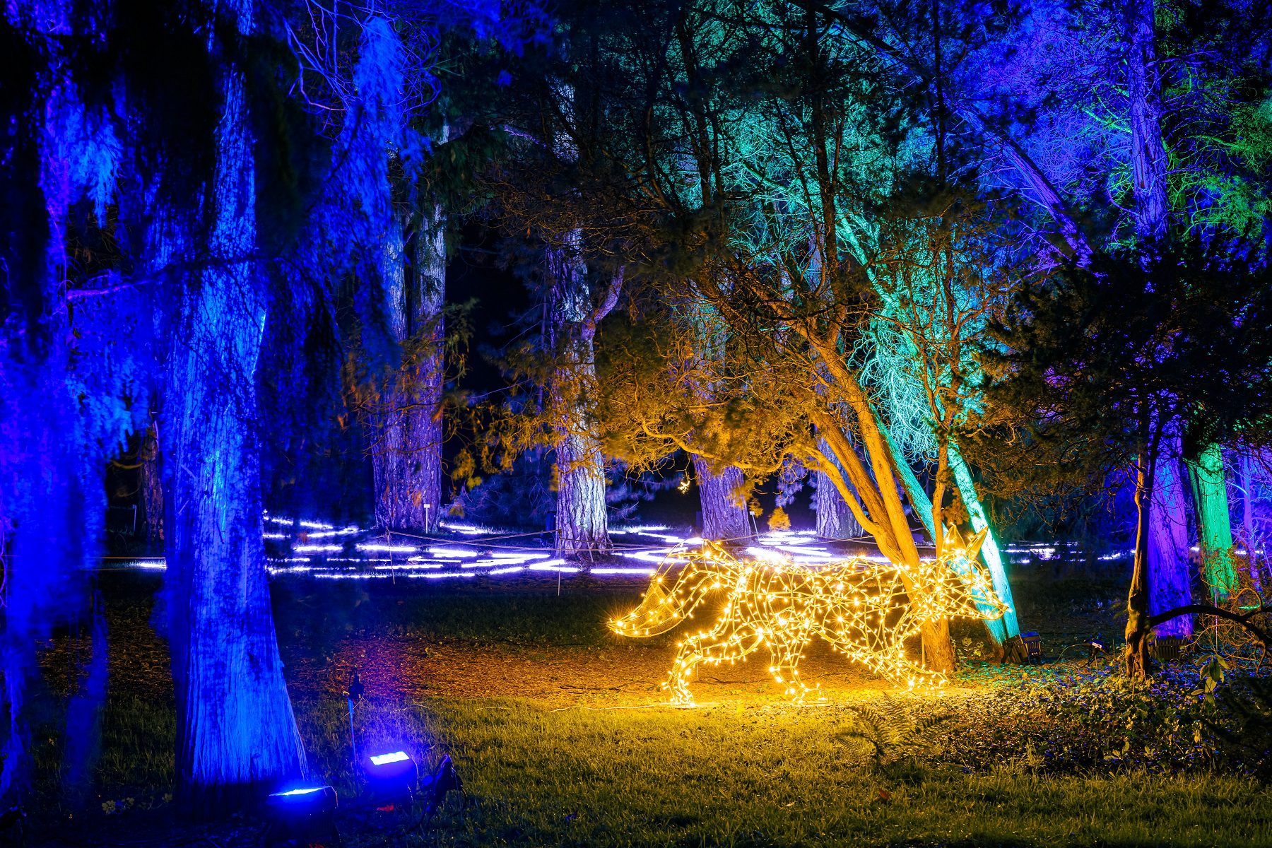Winter Dreams llחוויית החורף האירופאית שסחפה את העולם מגיעה לירושלים!