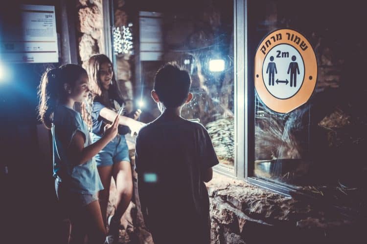 ספארי לילה בגן החיות הלימודי בחיפה 3. צילום מיכה בריקמן