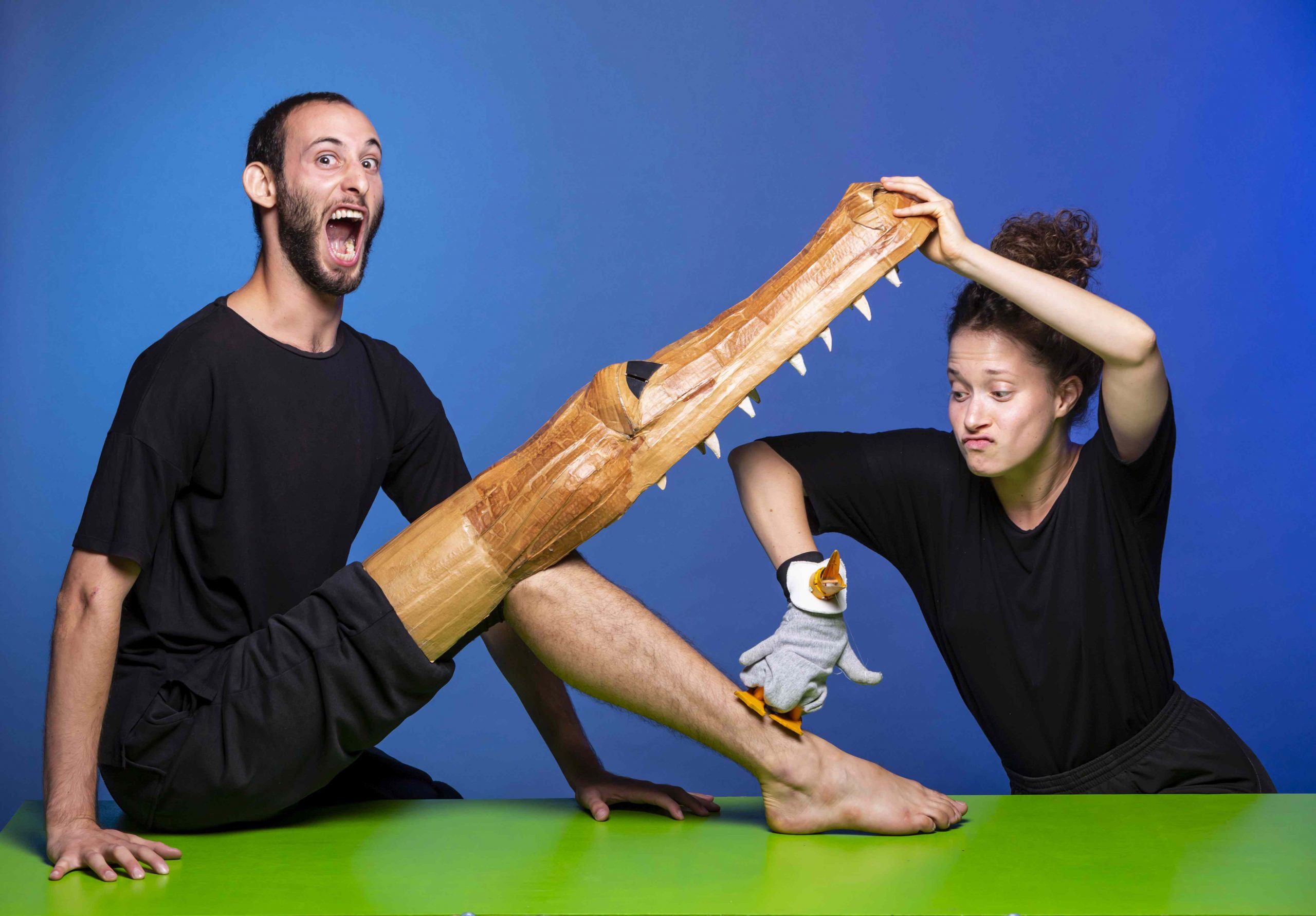 פסטיבל הקרון הבינ"ל ה-30