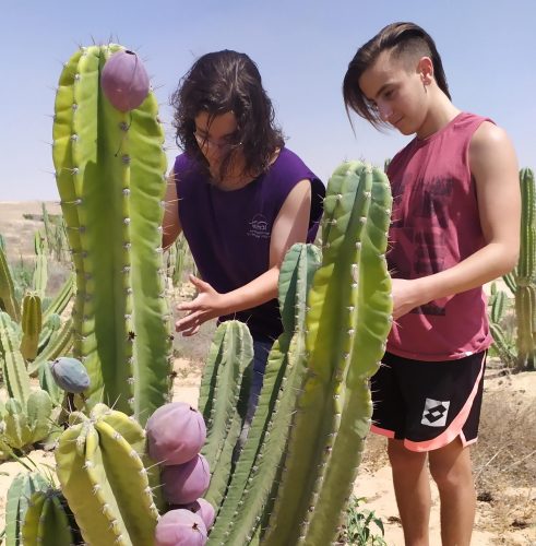 הטרנד החדש – התנדבולדת יום הולדת המשלב התנדבות בחקלאות