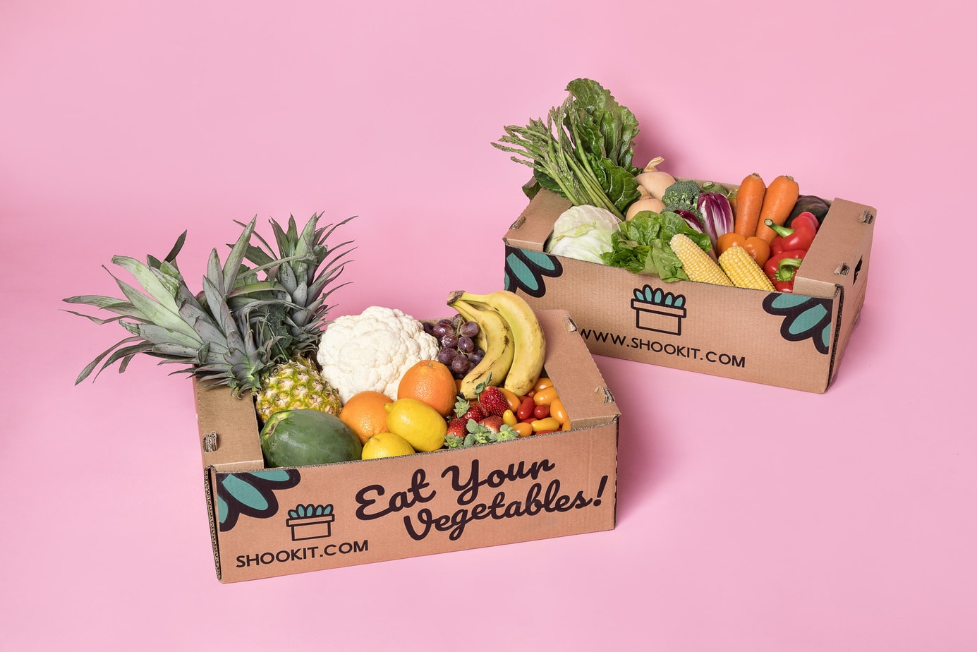 קייטנת קיץ דיגיטלית להורים – בחינם!