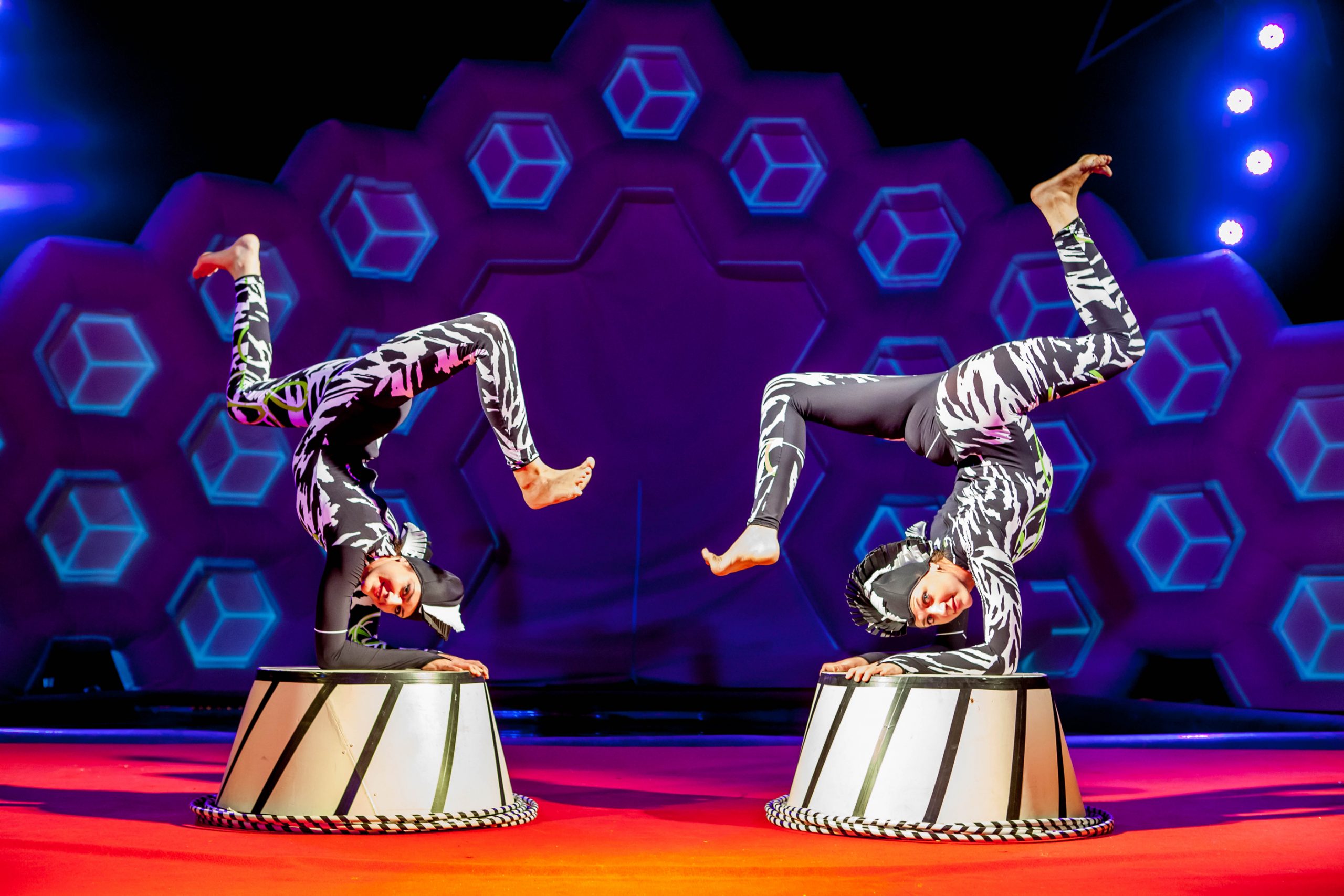 מופע אוגוסט קרקס פלורנטין בכפר הירוק, צילום דפנה קפלן (3)