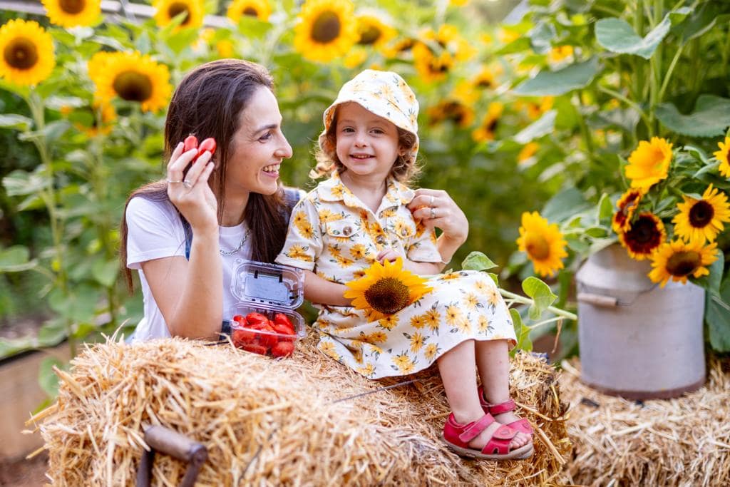 התגעגעתם לקטוף וללכת לאיבוד ?! קלחים ומבוכים חוזרת לפעילות, ובגדול. המקום בהוד השרון יפתח מחדש לפעילות החל מראש השנה 2023 ויפעל בשבתות, חגים ומועדים בכל חודשי הסתיו, החורף והאביב.
