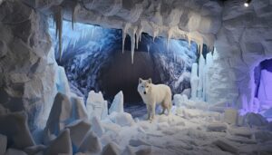 אנטרטיקה קרדיט צילום אורי הירשלר הדמיה